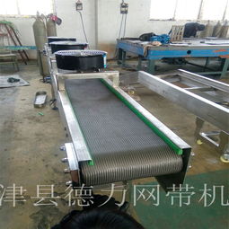 德力機(jī)械專業(yè)生產(chǎn) 皮帶輸送機(jī) 滾筒輸送機(jī)爬坡輸送機(jī) 不銹鋼輸送機(jī) 雙層轉(zhuǎn)彎?rùn)C(jī)304不銹鋼 鏈板輸送機(jī)101