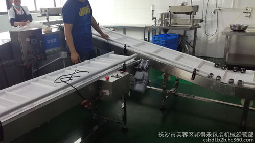 食品廠定制輸送線 高效包裝與物料傳輸解決方案